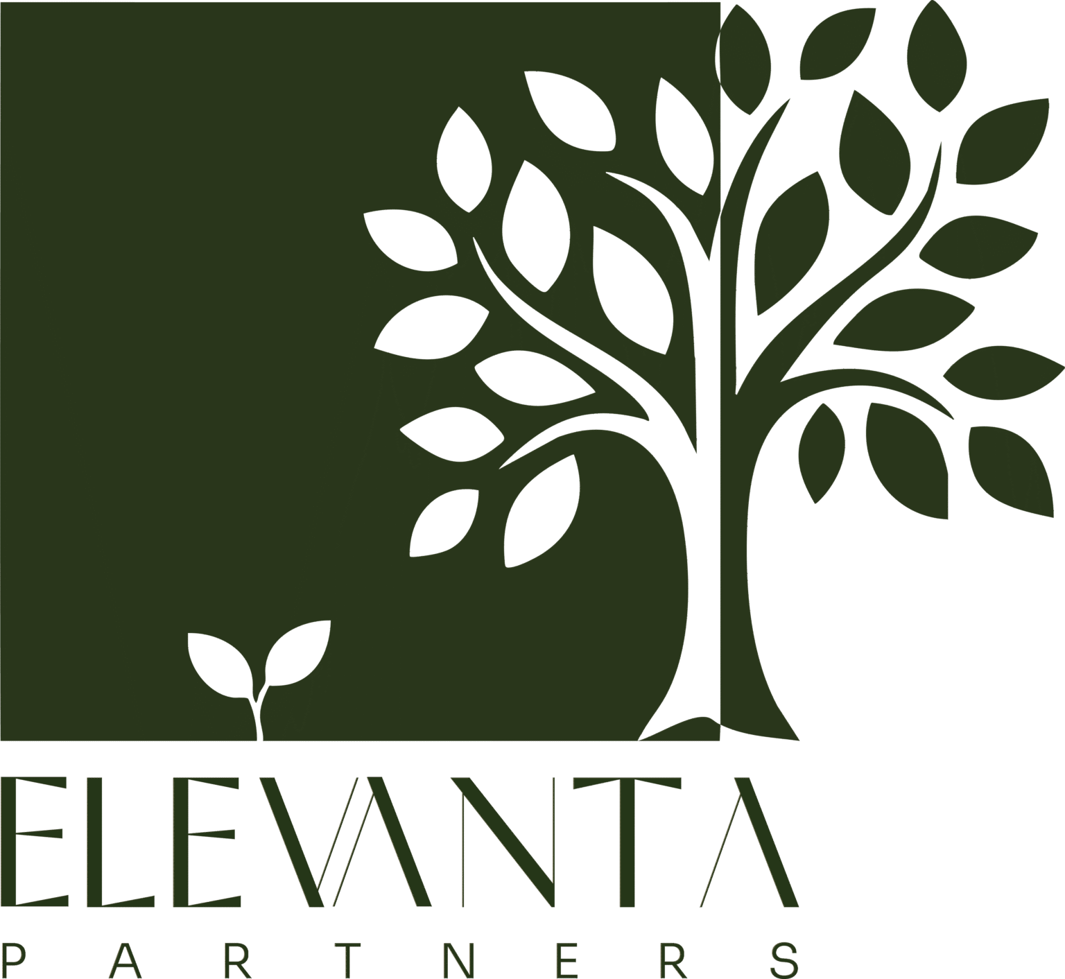 INNOVATE. ACCELERATE. ELEVATE. - Elevanta Partners
