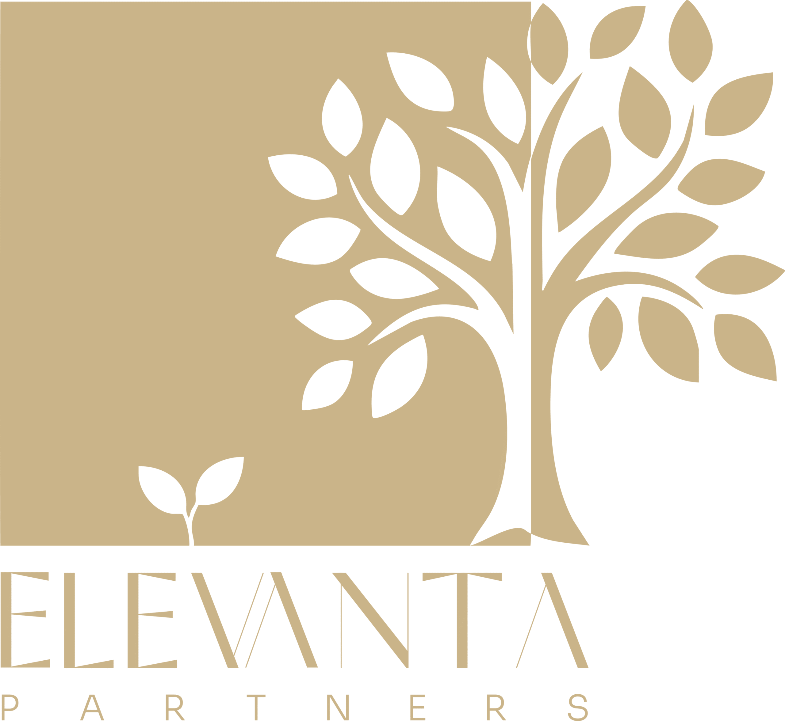 offwhite_logo-scaled-webp